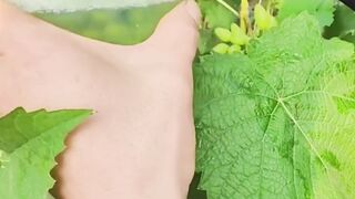 Grapes are so lovely