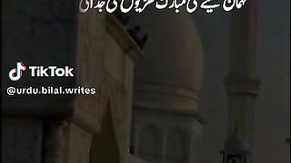 videos 21