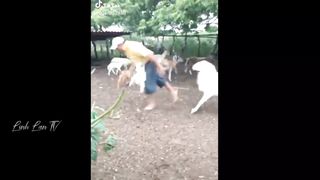 Funny moments #humans#animals