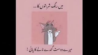 Funny video very very funny