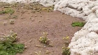 latest viral 2023 Allahuakbar..!!