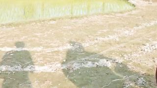 shorts funny video