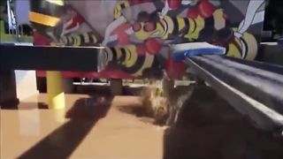 BEST OF- Chutes Total Wipeout