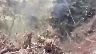 Невдачно припаркувався