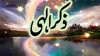 Zekry elahi