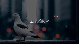 Urdu satuts