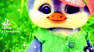 Little penguin ????