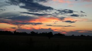 Beauty of Night|Nature feelings | Beautiful Night Calm Mind | Romantic night view|