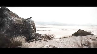 Jarico