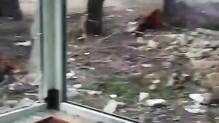 ДОБРО УТРО ОТ БАХМУТ - ГРУПА СНАЙПЕРИСТИ ПРИВИД