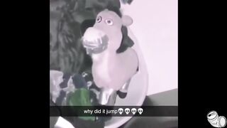 Vous Rigolez ,  Vous perdez
