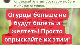 ЗА УСПЕШНА ГРАДИНА 12