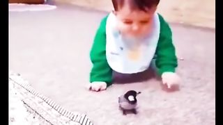 BIRD PLAY WITH BABY.