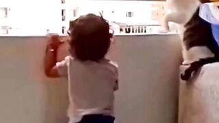 Cat Protecting Baby Child On Balcony