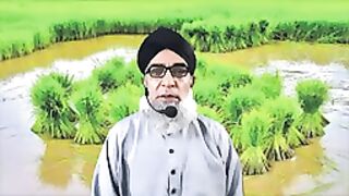Rice nursery 2