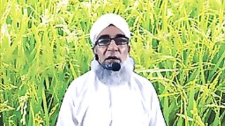 Rice ki pedawar