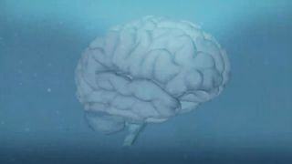 2023 9 Proofs You Can Increase Your Brain Power