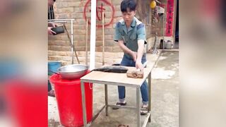 New funny videos funny clips