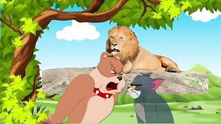 Tom &jeyCartoon Funny Video _ Cartoon Comedy Video _ Tom