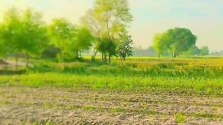 Nature beauty in beautiful Bajaur