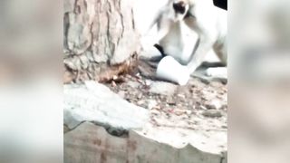 MOTHER LOVE 2