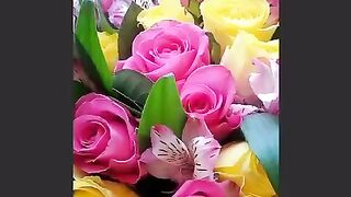 عید مبارک 2