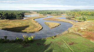 Swamp riveraerial opt