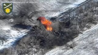 Ukrainian Ground Forces fire artillery at Russian positions