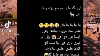 Funnyvideo 2