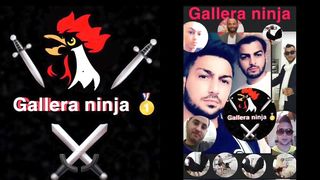 Julian de burdeos Antonio Pisa Amador salguero Churra Fernandez y faela Batista gallera ninja