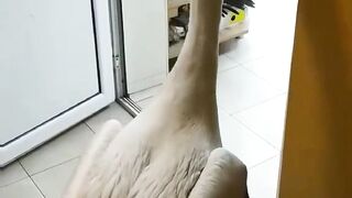 ЗЕЛЕНИ БАЛКАНИ СТАРА ЗАГОРА