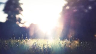 Relaxing Music for Work and Study