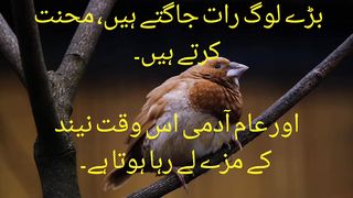 Sunahra aqwal e zareen in urdu 2