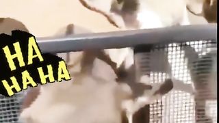 Very funny ???????????? 3