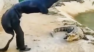 Complètement rien dans la tête