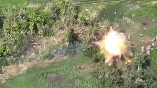 Russian airstrikes 'destroy Ukrainian equipment' hidden in forests