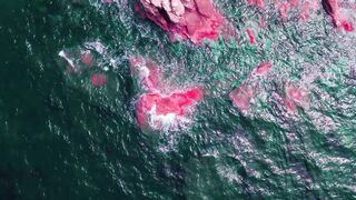 Красивая инфракрасная съёмка.