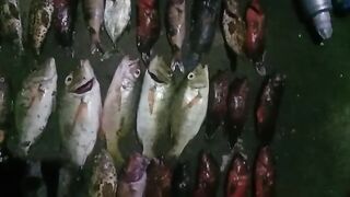 Hasil mancing light jiging
