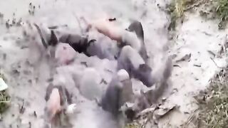 Bad Situations Cry and Laugh ???? Funny Videos 2