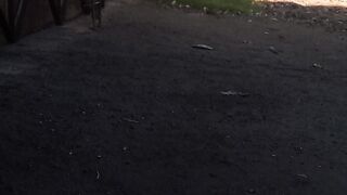 Video 71