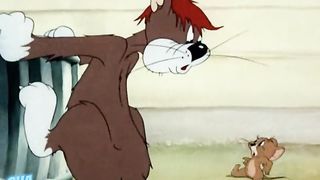 Cartoon Funny Fight