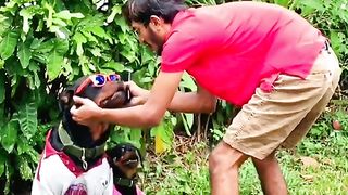 jork sri lanka