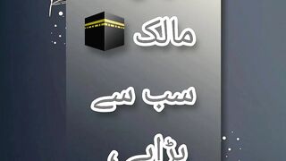 knowledge 4
