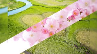 Compilation nature