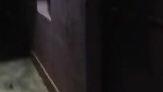 ঝড়ের পূর্বাভাসের আগাম বার্তা দেওয়া ঝড়ো পোকা