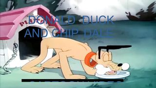 DONALD DUCK CARTOON  VIDEO