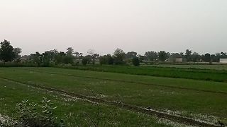 Agriculture 4