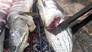 Grilled fish 3
