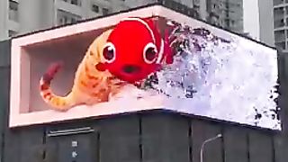 Cat Fish Animation