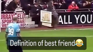 the best friend ????????????
